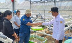 Pemdes Rama Agung Tingkatkan ketahanan pangan Kembangkan Hidroponik