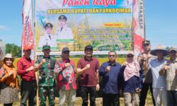 Pemkab Bengkulu Utara Tingkatkan Swasembada Pangan Lewat Panen Raya Di Desa karya Jaya
