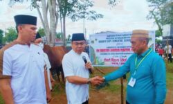 Bupati Arie, Serahkan 1 Ekor Sapi Limousin Berat 940 kg Dari bapak Prabowo Presiden Ri