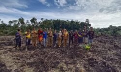 Dalam Rangka Mendukung Program Ketahanan Nasional Pemdes Datar Lebar Melaksanakan Tanam Jagung