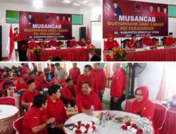 Momentum Konsolidasi, Musancab PDI Perjuangan se-Bengkulu Utara Berjalan Meriah dan Tertib