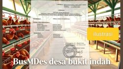 Ketidaksinkronan Hubungan Kerja, mantan Direktur BUMDes Minta Status Pemberhentiannya Dilegalkan melalui Musdes