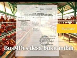 Pemberhentian Sepihak Tanpa Dasar Regulasi, Pengurus BUMDes Bukit Indah Desak Dinas PMD Bengkulu Utara Turun Tangan